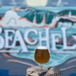 FRENCH FLY French Saison ABV 7.8% IBU 26